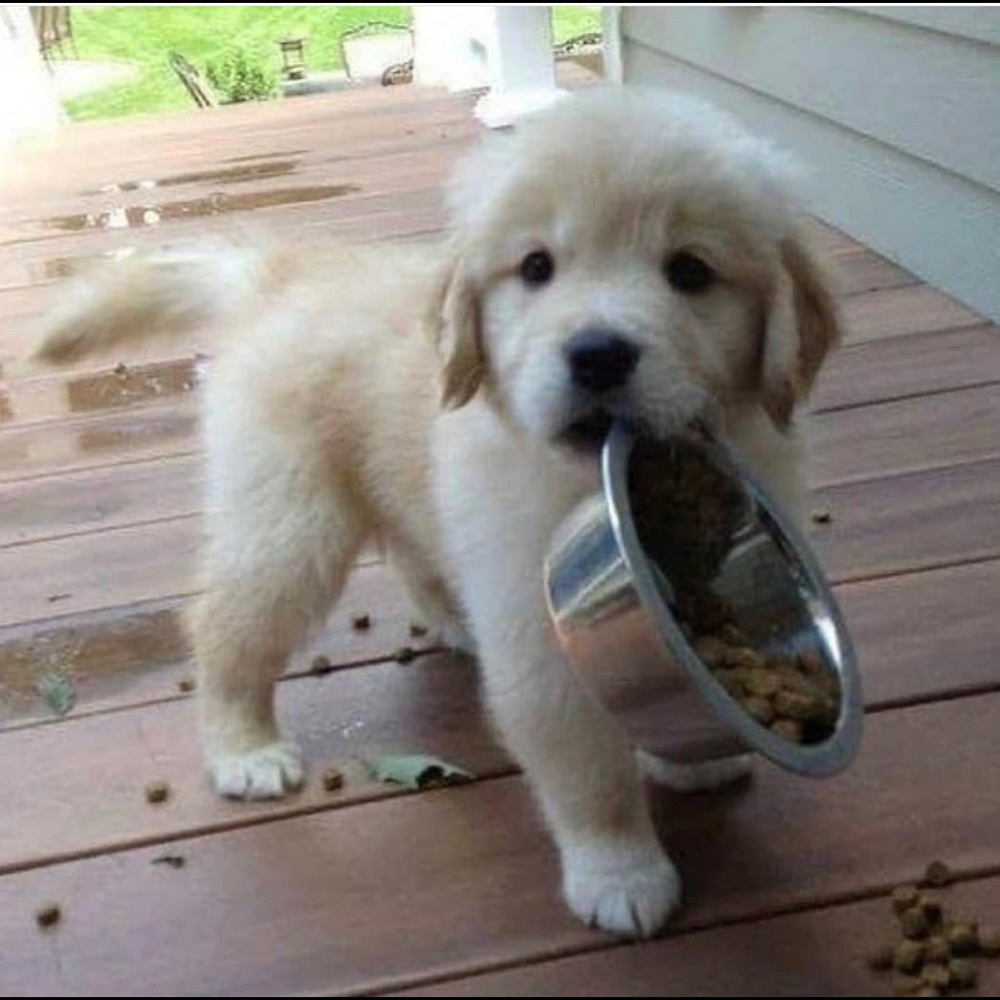 Meet your Posher, Sheryl